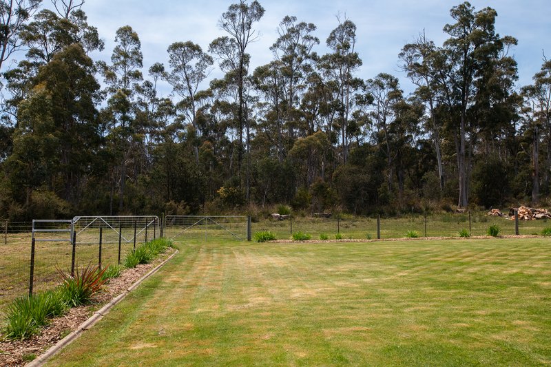 Photo - 40 Pipers River Road, Underwood TAS 7268 - Image 17