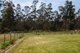 Photo - 40 Pipers River Road, Underwood TAS 7268 - Image 17