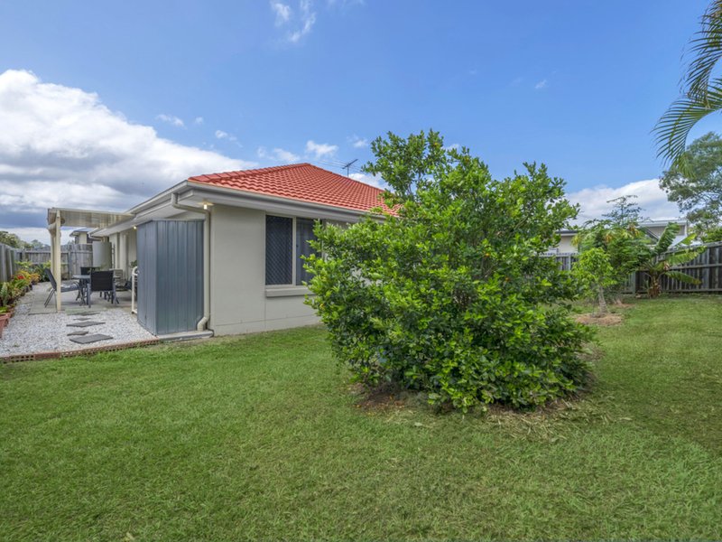 Photo - 40 Ray Street, Carseldine QLD 4034 - Image 2