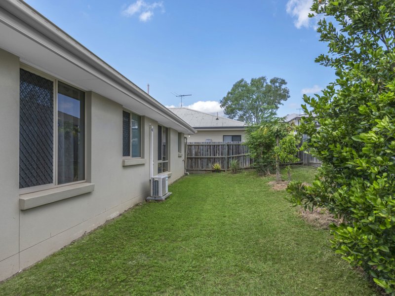 Photo - 40 Ray Street, Carseldine QLD 4034 - Image 16