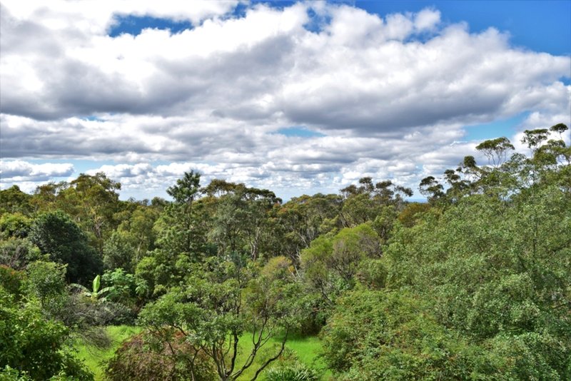 Photo - 40 Taylor Road, Woodford NSW 2778 - Image 13