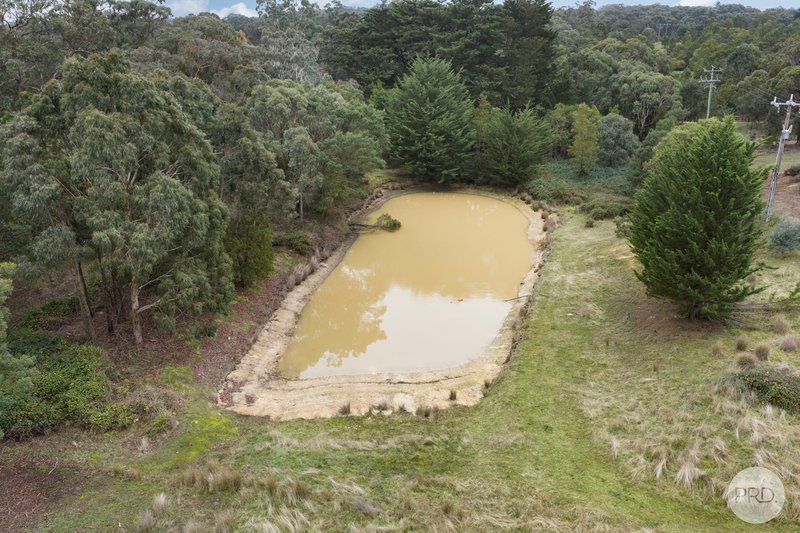 Photo - 40 Tudors Road, Smythes Creek VIC 3351 - Image 16