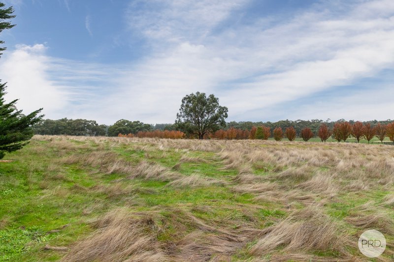 Photo - 40 Tudors Road, Smythes Creek VIC 3351 - Image 17
