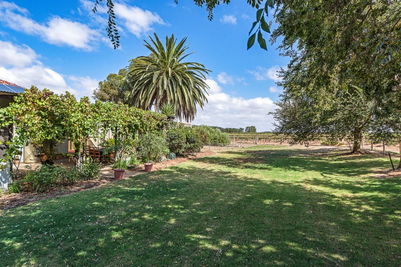 Photo - 40 Westbourne Street, Langhorne Creek SA 5255 - Image 14