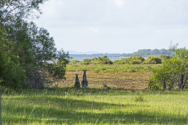 40 Whitaker Street, Boonooroo QLD 4650 Real Estate Industry Partners