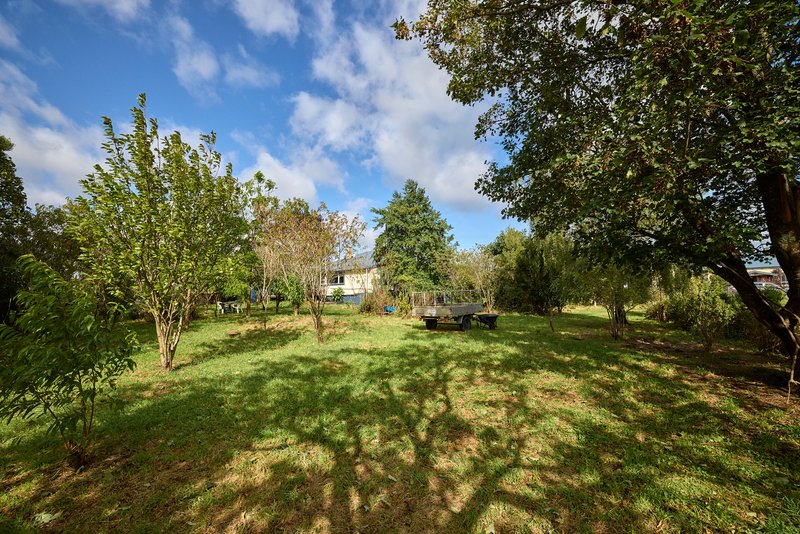 Photo - 40 Winnaleah Road, Winnaleah TAS 7265 - Image 22