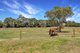 Photo - 400 Brisbane Ranges Road, Mount Wallace VIC 3342 - Image 21