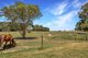 Photo - 400 Brisbane Ranges Road, Mount Wallace VIC 3342 - Image 22