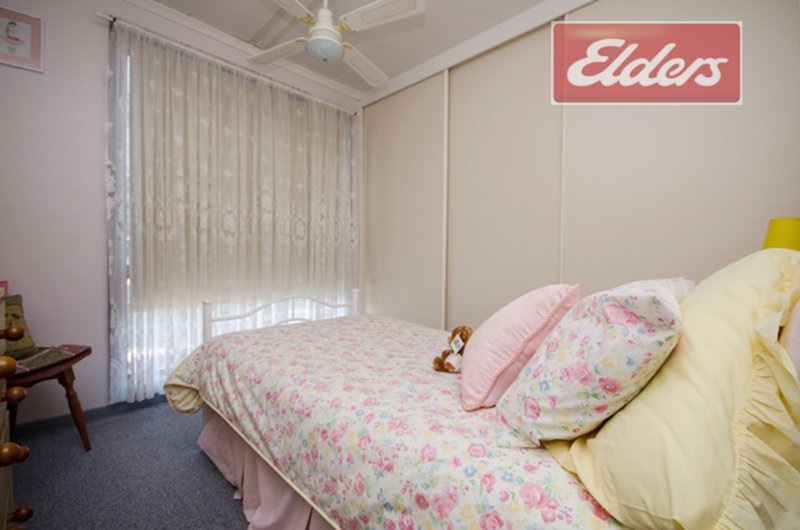 Photo - 400 Dick Road, Lavington NSW 2641 - Image 13