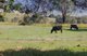Photo - 400 Soldier Settlers Road, Tallangatta Valley VIC 3701 - Image 24