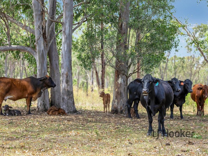 Photo - 400 Wildman Road, Iveragh QLD 4680 - Image 21