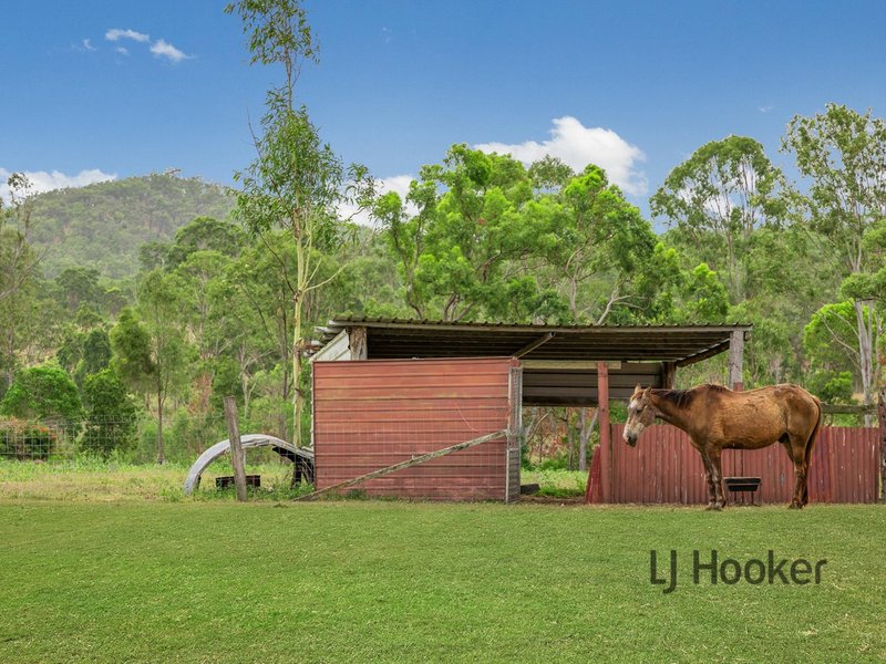 Photo - 400 Wildman Road, Iveragh QLD 4680 - Image 24