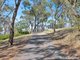 Photo - 402 Conrod Straight , Mount Panorama NSW 2795 - Image 25