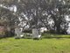 Photo - 40/2 Macleay Drive, Halekulani NSW 2262 - Image 16