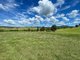 Photo - 402 Upper Logan Road, Barney View QLD 4287 - Image 14