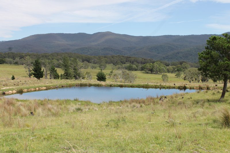 Photo - 403 Kain Cross Road, Braidwood NSW 2622 - Image 1