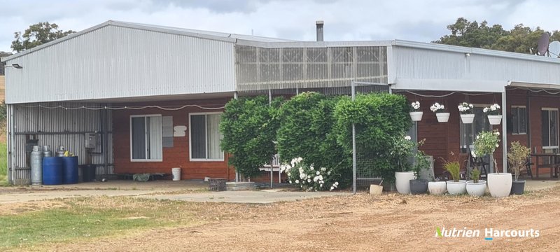 Photo - 4038 & 4184 Chesterpass Road, Takalarup WA 6324 - Image 15