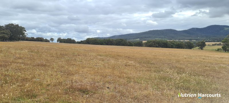 Photo - 4038 & 4184 Chesterpass Road, Takalarup WA 6324 - Image 18