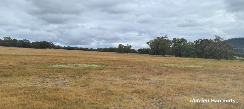 Photo - 4038 & 4184 Chesterpass Road, Takalarup WA 6324 - Image 20