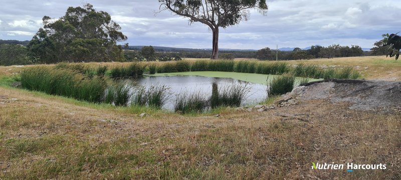 Photo - 4038 & 4184 Chesterpass Road, Takalarup WA 6324 - Image 22