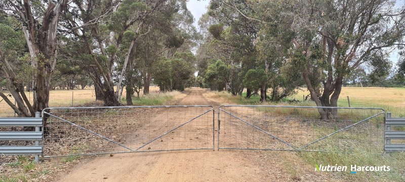 Photo - 4038 & 4184 Chesterpass Road, Takalarup WA 6324 - Image 27