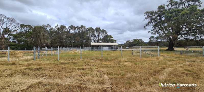 Photo - 4038 & 4184 Chesterpass Road, Takalarup WA 6324 - Image 29