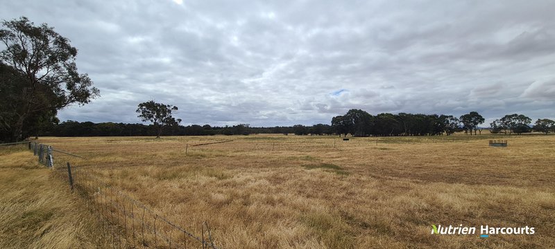 Photo - 4038 & 4184 Chesterpass Road, Takalarup WA 6324 - Image 32