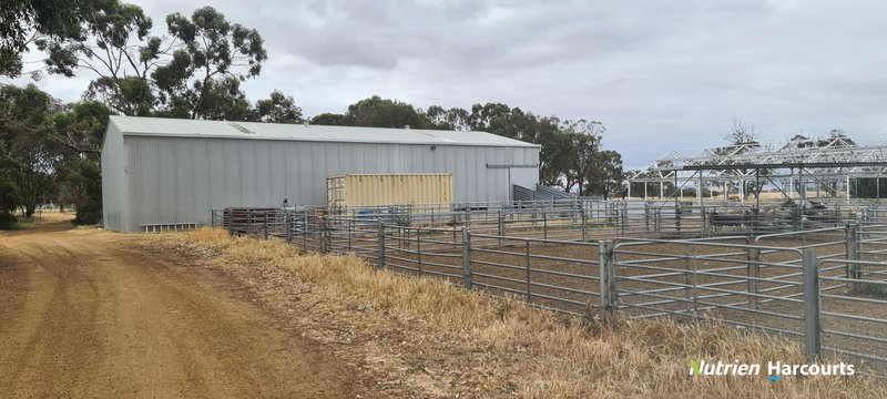 Photo - 4038 & 4184 Chesterpass Road, Takalarup WA 6324 - Image 33