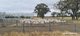 Photo - 4038 & 4184 Chesterpass Road, Takalarup WA 6324 - Image 34