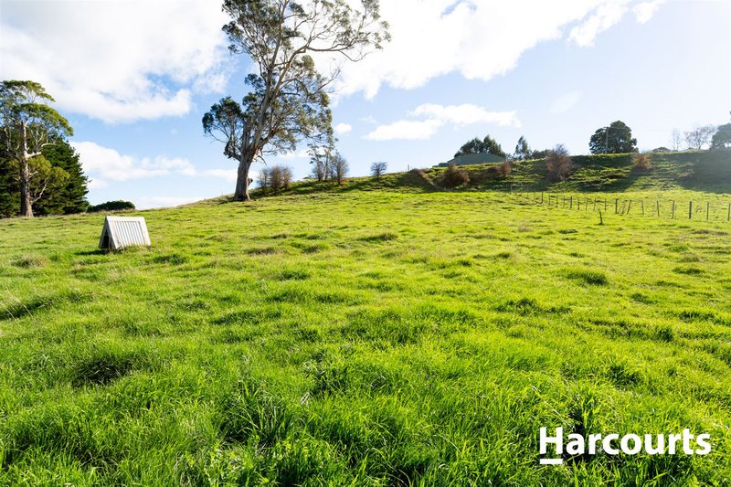 Photo - 404 Mole Creek Road, Red Hills TAS 7304 - Image 20