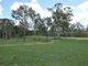 Photo - 404 Mount Bucca Road, Abbotsford QLD 4670 - Image 7