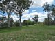 Photo - 404 Mount Bucca Road, Abbotsford QLD 4670 - Image 11