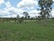 Photo - 404 Mount Bucca Road, Abbotsford QLD 4670 - Image 20