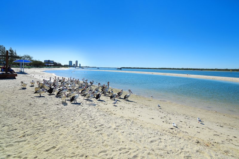 Photo - 404/372 Marine Parade, Labrador QLD 4215 - Image 32