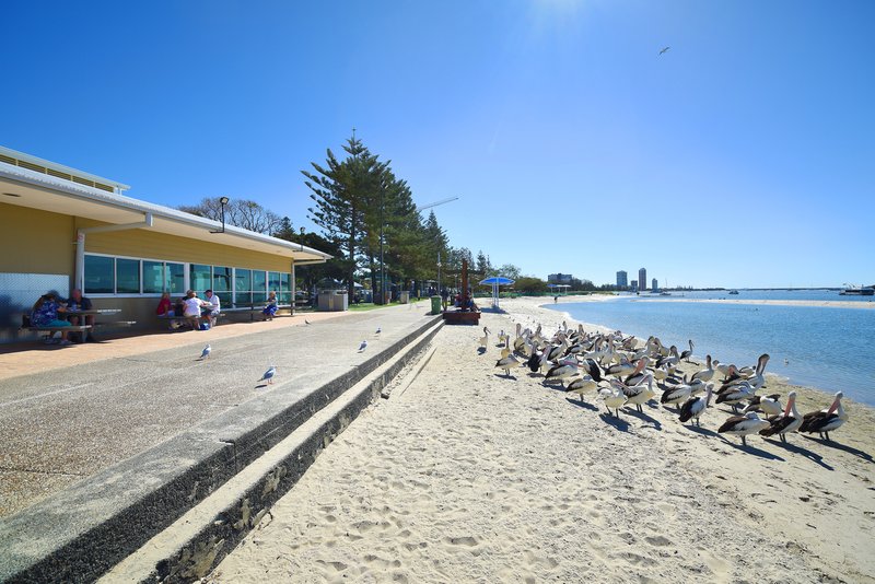 Photo - 404/372 Marine Parade, Labrador QLD 4215 - Image 33
