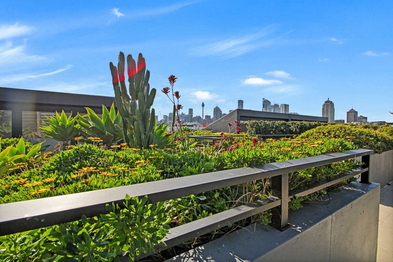 Photo - 405/6 Cowper Street, Glebe NSW 2037 - Image 4