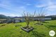 Photo - 406 Back River Road, Magra TAS 7140 - Image 21