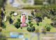 Photo - 406 Worrigee Road, Worrigee NSW 2540 - Image 26