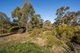 Photo - 4076A Bendigo-Murchison Road, Rushworth VIC 3612 - Image 19