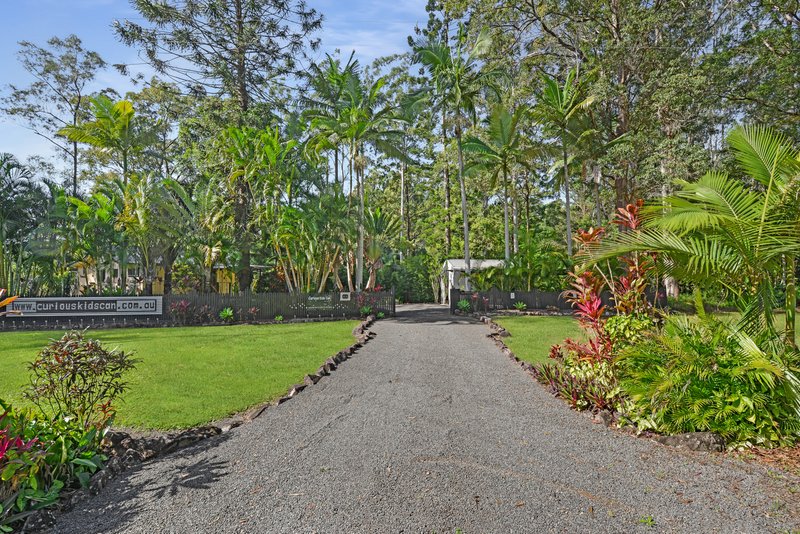 Photo - 408 Highlands Rd , Eudlo QLD 4554 - Image 13