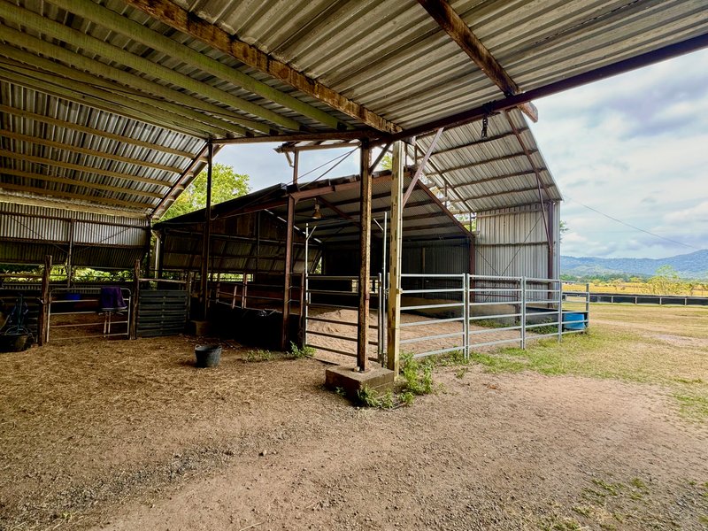 Photo - 408 Marlborough-Sarina Road, Sarina QLD 4737 - Image 10