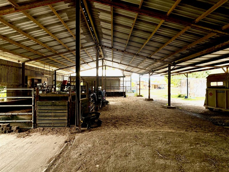 Photo - 408 Marlborough-Sarina Road, Sarina QLD 4737 - Image 13