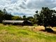 Photo - 408 Marlborough-Sarina Road, Sarina QLD 4737 - Image 17