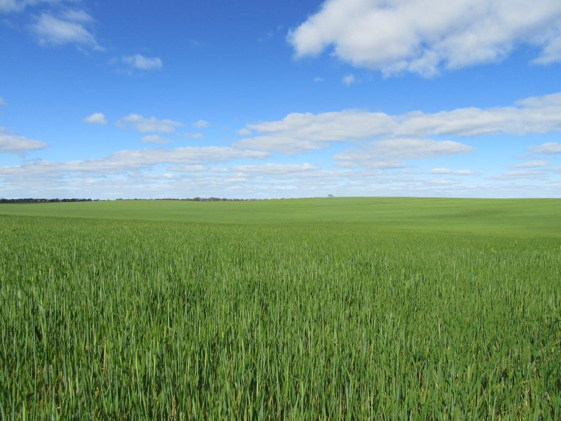 Photo - 4082 Sunraysia Highway, Tempy VIC 3489 - Image 1