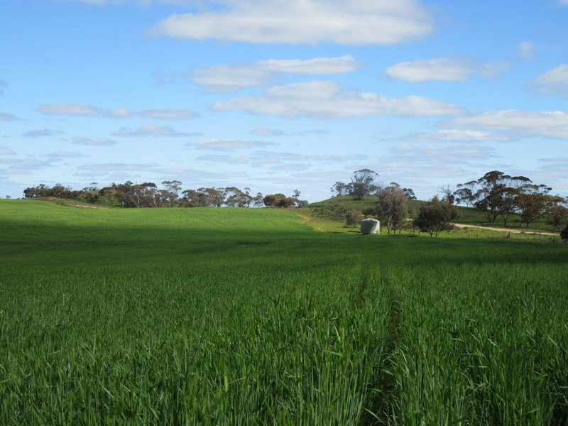 Photo - 4082 Sunraysia Highway, Tempy VIC 3489 - Image 2