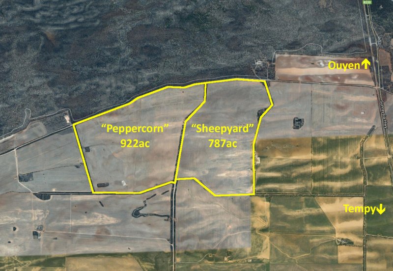 Photo - 4082 Sunraysia Highway, Tempy VIC 3489 - Image 5