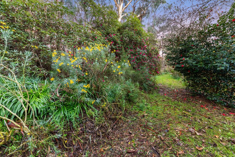 Photo - 409 Gembrook Road, Pakenham Upper VIC 3810 - Image 23