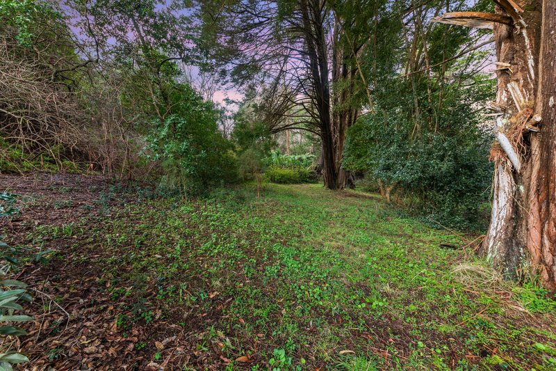 Photo - 409 Gembrook Road, Pakenham Upper VIC 3810 - Image 25