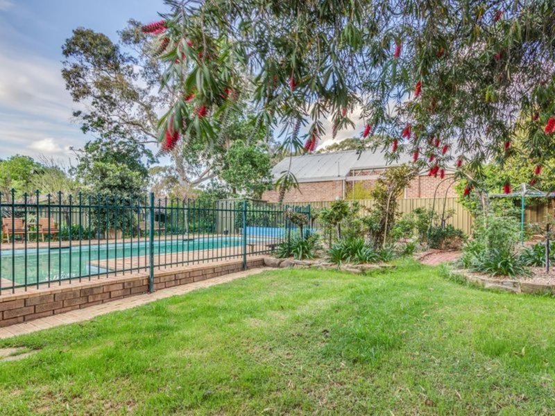 Photo - 40B Hyland Terrace, Rosslyn Park SA 5072 - Image 18