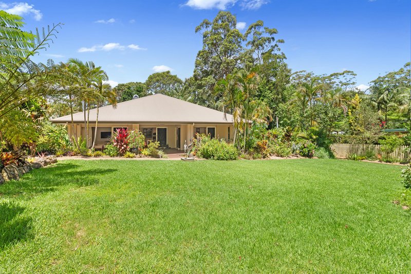 Photo - 41-43 Caryota Court, Tamborine Mountain QLD 4272 - Image 31